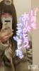 長野ぽっちゃり ちゃんこ長野権堂店(チャンコナガノゴンドウテン) さよ(29)の11月30日写メブログ「いよいよ師走」