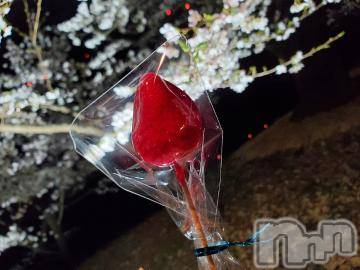 長野ぽっちゃりちゃんこ長野権堂店(チャンコナガノゴンドウテン) さよ(30)の3月31日写メブログ「花より団子🌸」