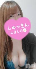 長野ぽっちゃりちゃんこ長野権堂店(チャンコナガノゴンドウテン) さよ(30)の6月6日写メブログ「出勤しました🐰」