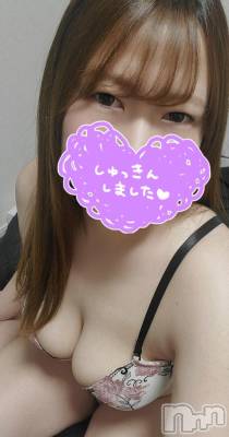 出勤しました&#x1F425;