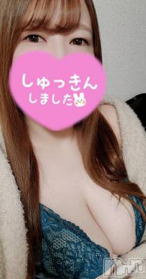 出勤しました&#x1F425;