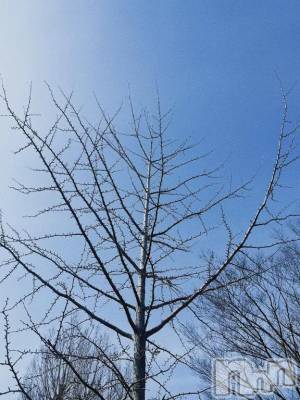 新潟デリヘル 熟女の風俗 最終章(ジュクジョノフウゾクサイシュウショウ) こずえ(35)の2月24日写メブログ「いい天気！」