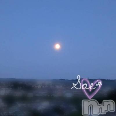 上田発デリヘル BIBLE～奥様の性書～(バイブル～オクサマノセイショ～) ◆さえ◆(44)の11月17日写メブログ「きのうの夜は…♡」