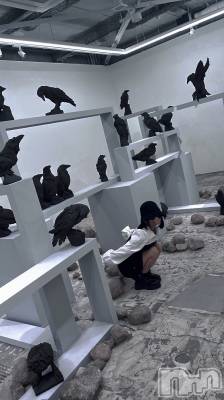 Įʥå륺СL'asile(饸) (20)418̥֥֤餹