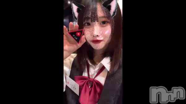 ֥ǥ顼