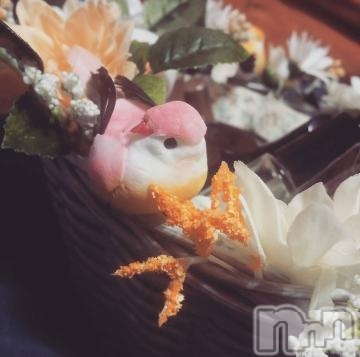 飯田デリヘル長野飯田ちゃんこ(ナガノイイダチャンコ) かすみ(37)の3月28日写メブログ「おはようございます」