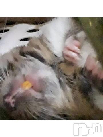 飯田デリヘル長野飯田ちゃんこ(ナガノイイダチャンコ) かすみ(37)の4月3日写メブログ「おはようございます」