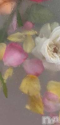 上越デリヘル RICHARD（リシャール）(リシャール) 二階堂みりあ(20)の2月5日写メブログ「御予約ありがとうございます」