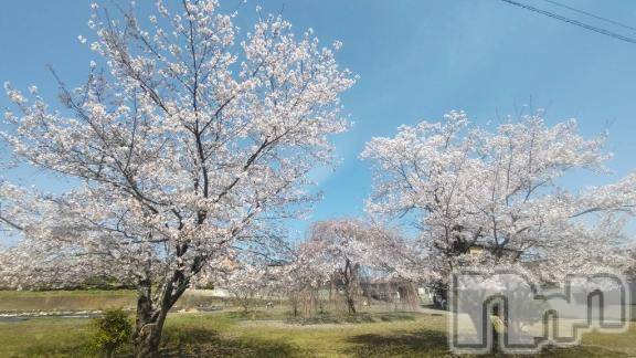 佐久発デリヘル佐久上田人妻隊(サクウエダヒトヅマタイ) めぐみ(40)の4月3日写メブログ「🌸」