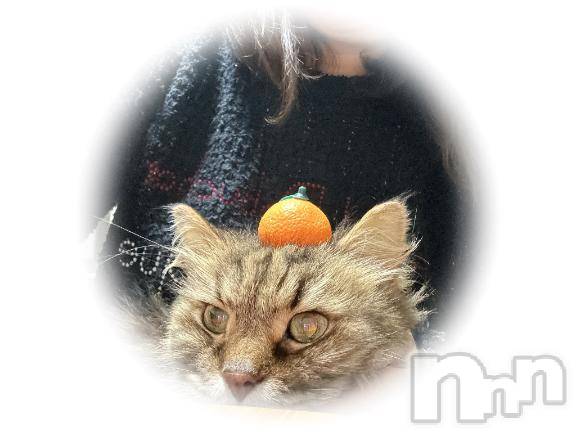 佐久発デリヘル佐久上田人妻隊(サクウエダヒトヅマタイ)めぐみ(40)の2026年1月3日写メブログ「[お題]from:暇すぎて死亡さん」