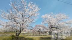 佐久発デリヘル佐久上田人妻隊(サクウエダヒトヅマタイ) めぐみ(40)の4月3日写メブログ「🌸」