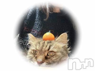 佐久発デリヘル 佐久上田人妻隊(サクウエダヒトヅマタイ) めぐみ(40)の1月3日写メブログ「[お題]from:暇すぎて死亡さん」