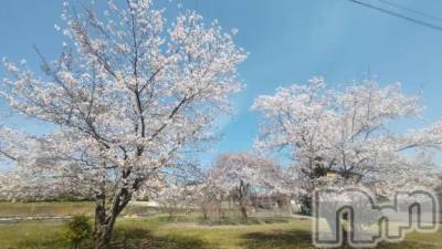 佐久発デリヘル 佐久上田人妻隊(サクウエダヒトヅマタイ) めぐみ(40)の4月3日写メブログ「🌸」