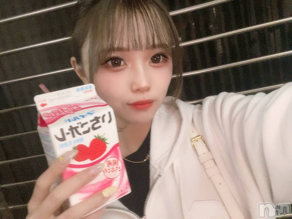 ʥå륺СBar  Angel(С󥸥) ߤ328ֽ̥֥λҤ♡