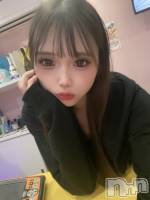 ʥå륺СBar  Angel(С󥸥) ߤ(24)911ֱ̥֥⤲