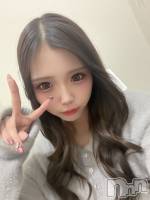 ʥå륺СBar  Angel(С󥸥) ߤ(24)117̥֥ͽ̤