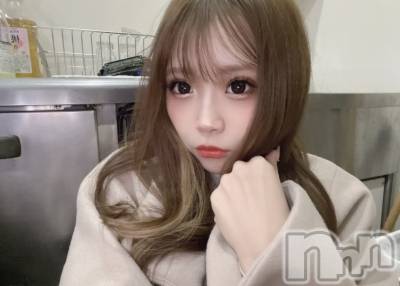 ʥå륺СBar  Angel(С󥸥) ߤ(24)227ֻ̥֥䤹˺㤦Ρ