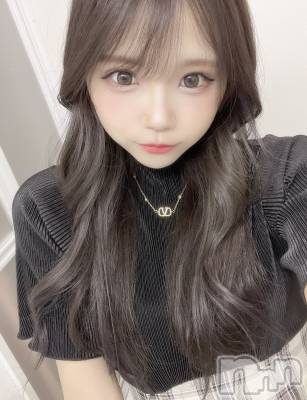 ʥå륺СBar  Angel(С󥸥) ߤ(24)523̥֥֤1뤱ɡ