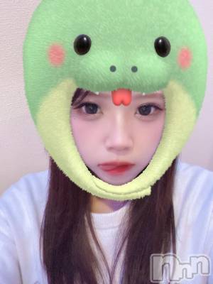 ʥå륺СBar  Angel(С󥸥) ߤ(24)125̥֥🐍