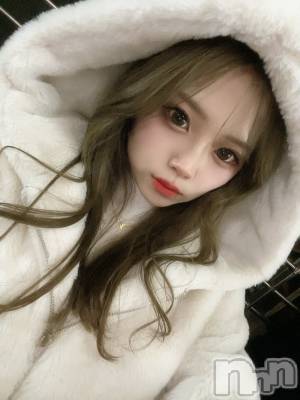 ʥå륺СBar  Angel(С󥸥) ߤ(24)214̥֥214 2204ʬΥ֥