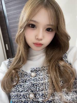 ʥå륺СBar  Angel(С󥸥) ߤ(24)228̥֥֤СФá
