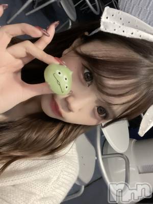 ʥå륺СBar  Angel(С󥸥) ߤ(24)1023ִ̥֥ĥʤ