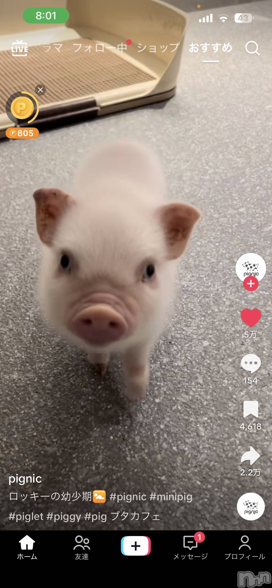 ľ���ť��ʥå��������륺�С�LOUNGE SAINT(�������) ��2026ǯ4��4���̥�֥�����🌸🌸��