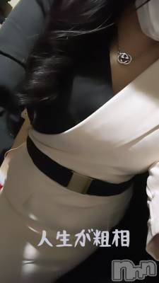 ľťʥå륺СLOUNGE SAINT() Τ(24)320̥֥֤˥塼✨ 👗