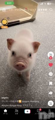 ľ���ť��ʥå��������륺�С�LOUNGE SAINT(�������) ��Τ(24)��4��4���̥�֥�����🌸🌸��