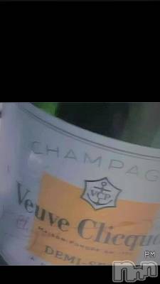 🍾✨🍾✨