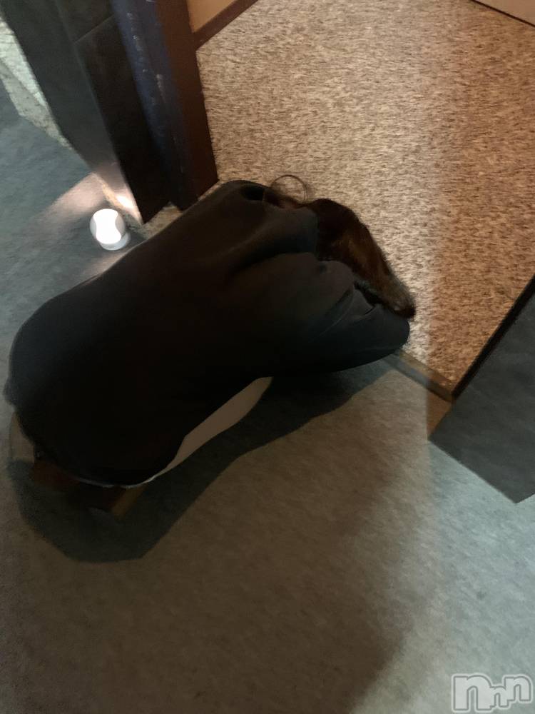 Įʥå륺СGirlsbar Harley(륺Сϡ졼) 85̥֥֤󿲡