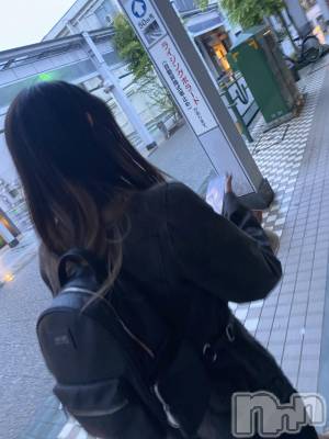Įʥå륺СGirlsbar Harley(륺Сϡ졼) 531̥֥֤
