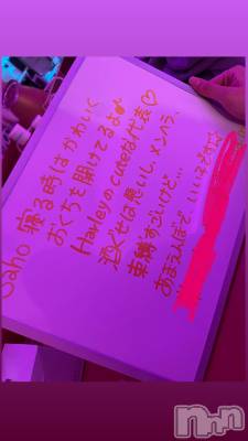 Įʥå륺СGirlsbar Harley(륺Сϡ졼) 624̥֥🎴