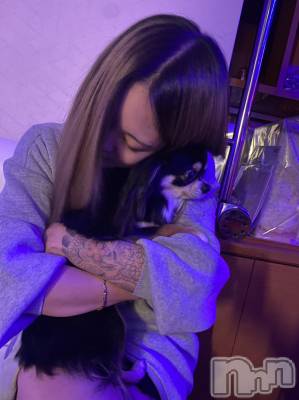 Įʥå륺СGirlsbar Harley(륺Сϡ졼) 128̥֥֥ɥ