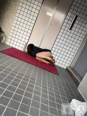 Įʥå륺СGirlsbar Harley(륺Сϡ졼) 1225̥֥֥ꥯ