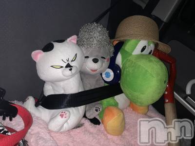 Įʥå륺СGirlsbar Harley(륺Сϡ졼) 127̥֥ץ쥤