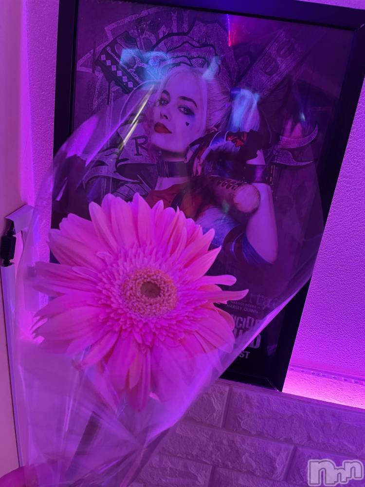 Įʥå륺СGirlsbar Harley(륺Сϡ졼) ߤ79̥֥֤