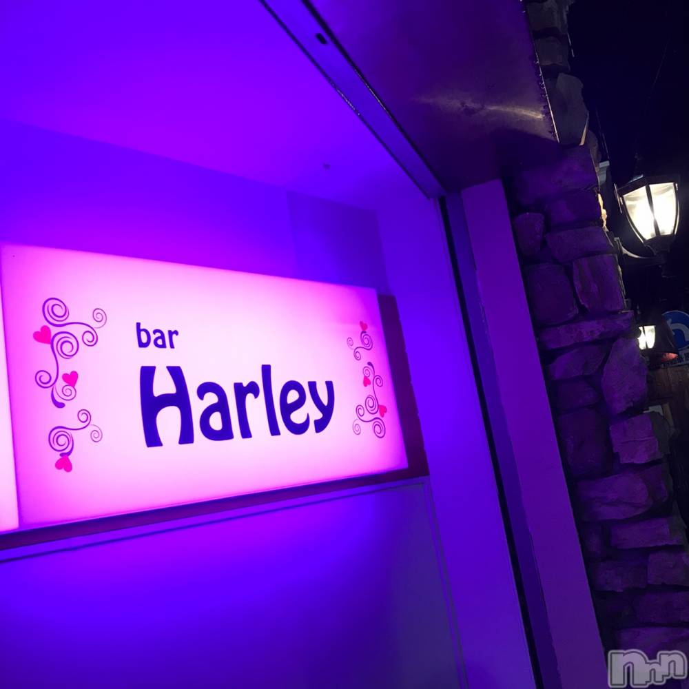 Įʥå륺СGirlsbar Harley(륺Сϡ졼) ߤ1015ֲ̥֥