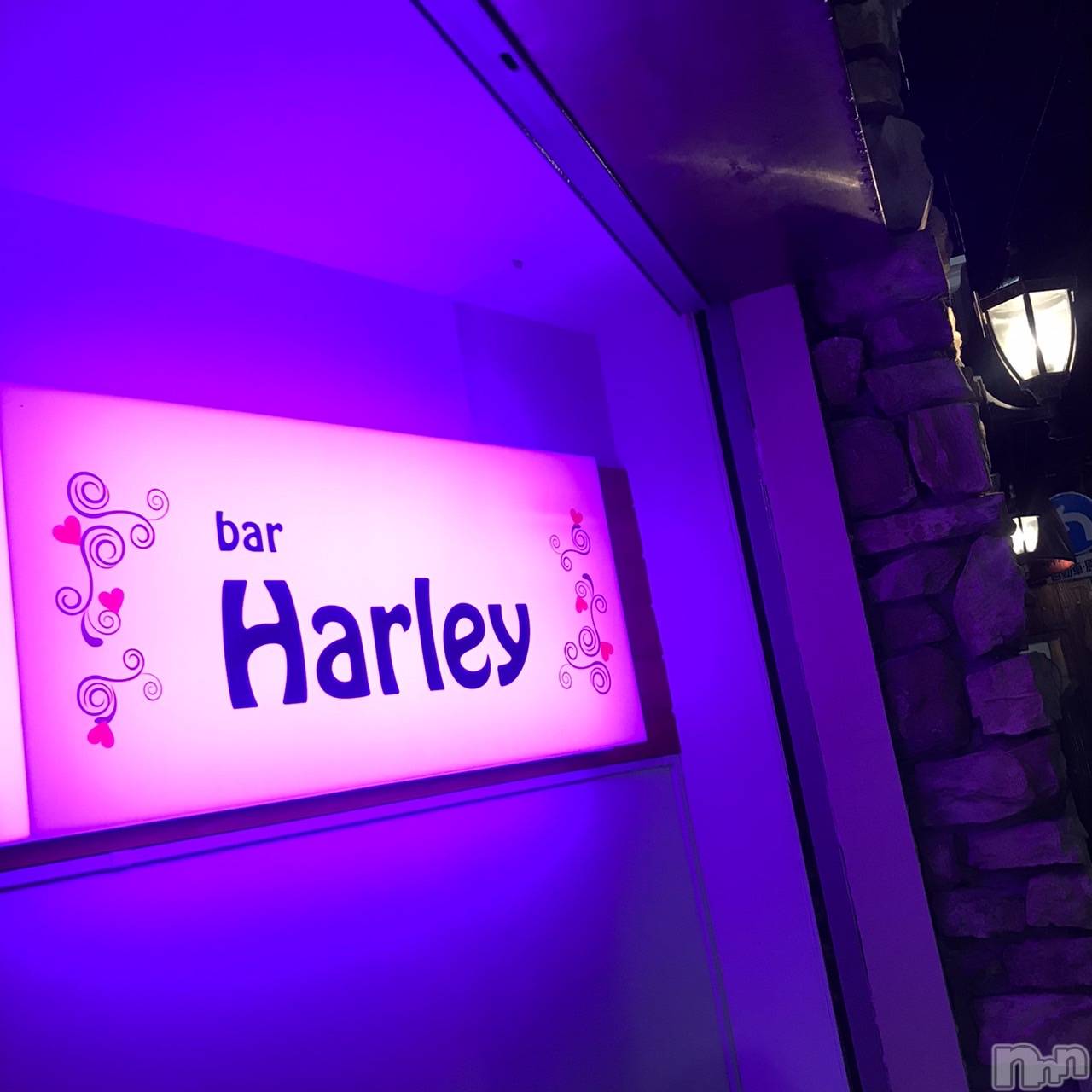 Įʥå륺СGirlsbar Harley(륺Сϡ졼) 2023ǯ412̥֥bar HarleyäƤ