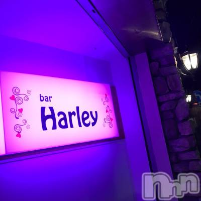 Įʥå륺СGirlsbar Harley(륺Сϡ졼) ߤ412̥֥bar HarleyäƤ