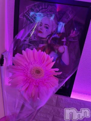 Įʥå륺СGirlsbar Harley(륺Сϡ졼) ߤ79̥֥֤