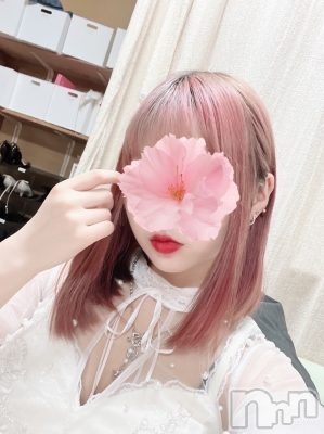 Ϥ(ҥߥ) Ĺ147cmХ顦 CLUB Reve-졼-(֥졼)ҡ