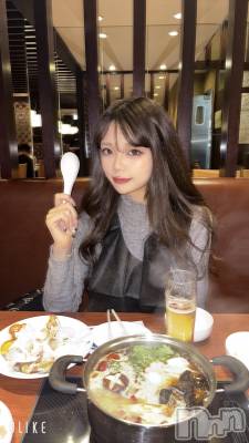 ʥå륺СLE SOLEIL( 쥤) ꤻ(99)1120̥֥֤Ĥ♡