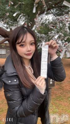 ʥå륺СLE SOLEIL( 쥤) ꤻ(99)17̥֥ȿʡ