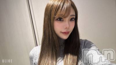 ʥå륺СLE SOLEIL( 쥤) ꤻ(99)211ֳ̥֥ؤӡ