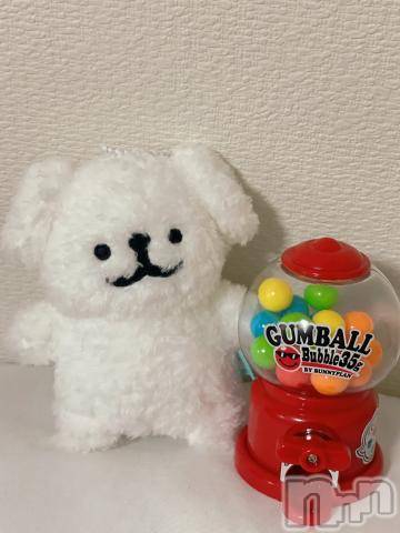 新潟デリヘル奥様特急 新潟店(オクサマトッキュウニイガタテン) ちゆ(23)の9月22日写メブログ「🌃🌙*ﾟ」
