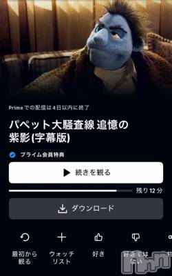 新潟デリヘル 奥様特急 新潟店(オクサマトッキュウニイガタテン) ちゆ(23)の5月2日写メブログ「‪‪❤︎‬(*ˊᵕˋ*)‪‪❤︎‬」