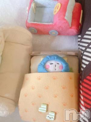 新潟デリヘル 奥様特急 新潟店(オクサマトッキュウニイガタテン) ちゆ(23)の8月4日写メブログ「大福爆睡中😴」
