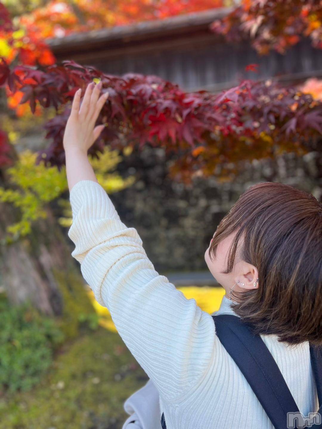 三条デリヘルalphaGOLD(アルファゴールド)かなで(22)の2024年11月23日写メブログ「紅葉シーズン🍁」