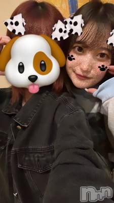 Įʥå륺СL'asile(饸) ߤʤΥޥͤ104̥֥֥饸🩵